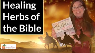 Healing Herbs and Oils of the Bible Plus Addressing Some Myths