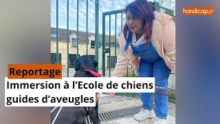 Immersion à l’École de chiens guides d'aveugles Immersion à l’École de chiens guides d'aveugles