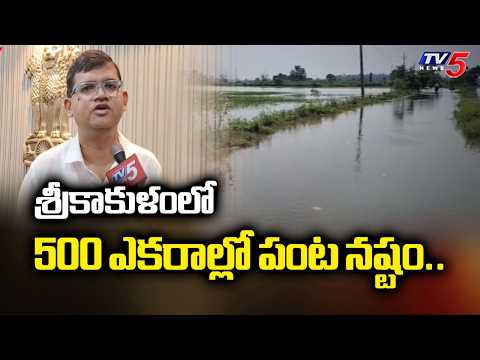 Collector Swapnil Dinakar FACE To Face Over Srikakulam Flood Damage Crop Ground Report || TV5 - TV5NEWS