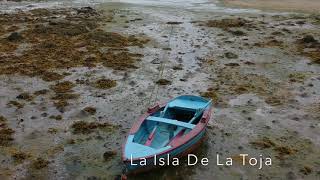 Isla Toja Spain 2018