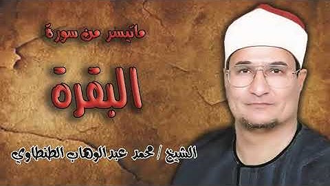 الشيخ   محمد عبدالوهاب الطنطاوي   ماتيسر من سورة البقرة