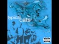 Typical Cats - Thin Red Line