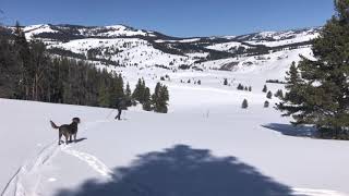 Skiing Around the ranch