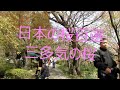 三多気の桜