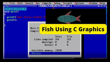 How to make Fish using C language || Make Fish With C Graphics || Computer Graphics