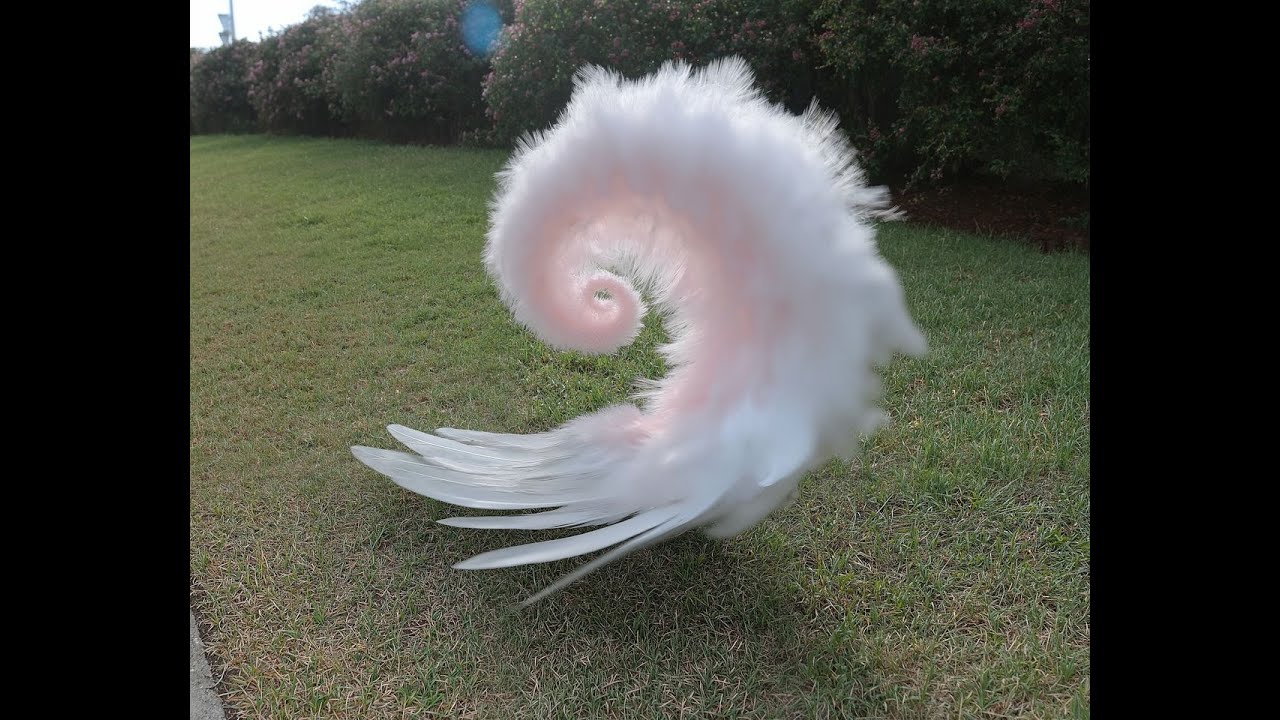 [FREE] Crystal Castles x Grimes x Synth Pop Type Beat - "ligament"