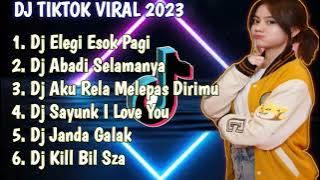 DJ ELEGI ESOK PAGI REMIX TIKTOK TERBARU FULL BASS 2023-DJ TIKTOK FULL ALBUM 2023