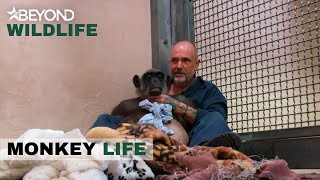S11E14 | Vet John Lewis Is Called To Check Up On Chimp Sally | Monkey Life | Beyond Wildlife