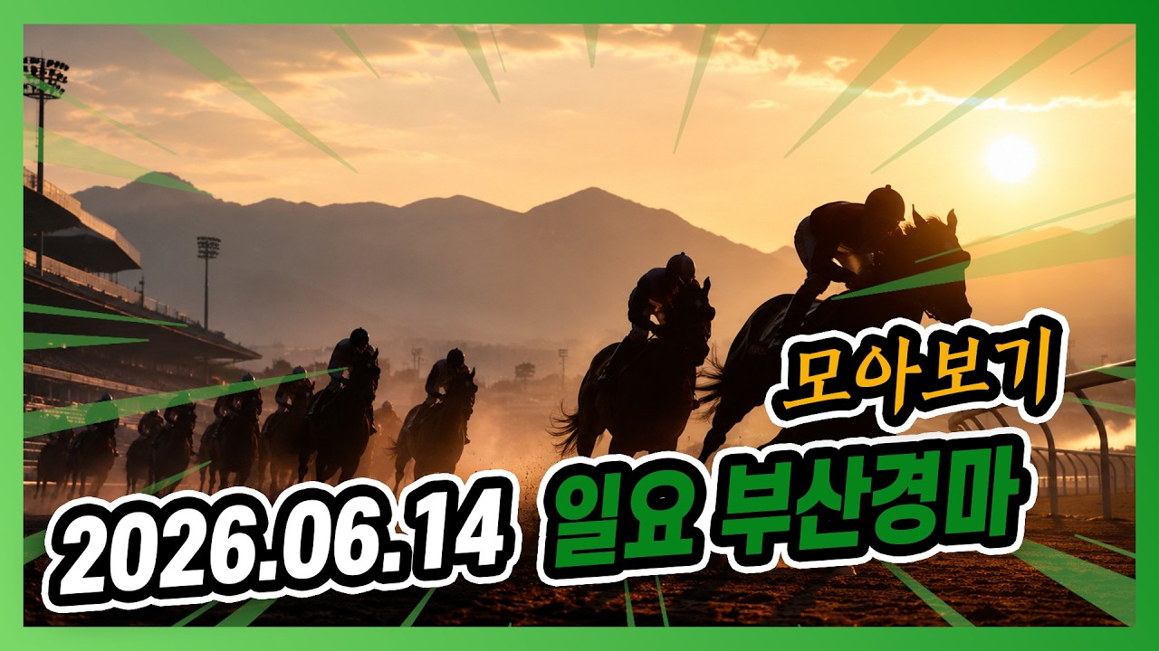 2026년 6월 14일 일요 부산경마 전체경주 모아보기