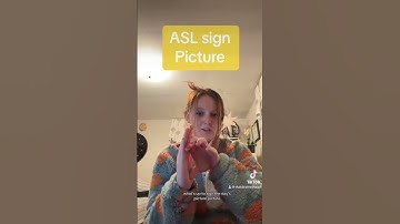 Learn How To Sign Picture in ASL for Beginners | American Sign Language #shorts
