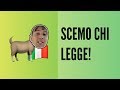 &quot;SCEMO CHI LEGGE&quot; DICE GHALI IN CAPRA ITALIA | INTERVISTE CON GHALI [YTP RAP]