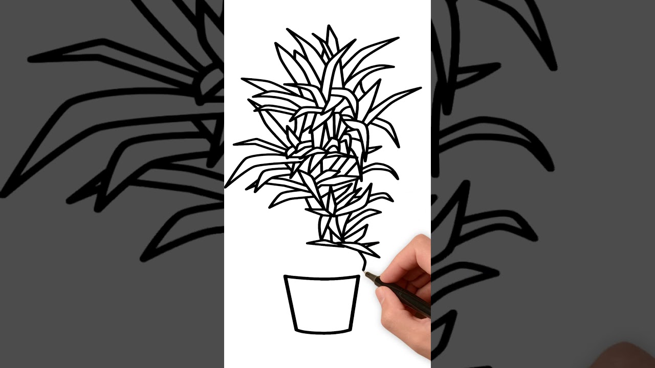 How to Draw Flower Pot | Easy Flower Pot Drawing for Kids | Step by Step | KidsTube