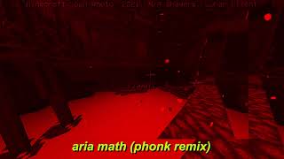 c418 ~ aria math (phonk remix)
