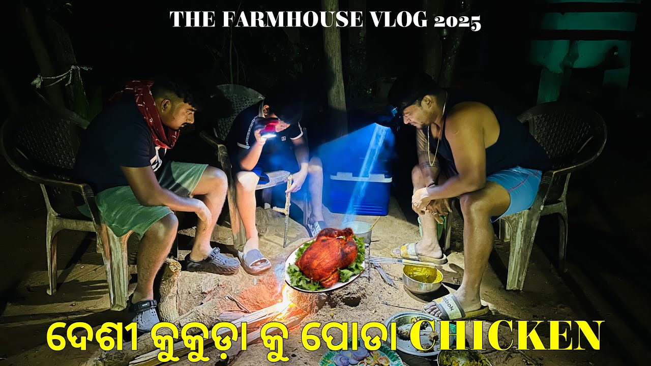 ଦେଶୀ କୁକୁଡ଼ା କୁ ପୋଡା CHICKEN 🐔 | THE FARMHOUSE VLOG | 2025 | GANIA | PART 1 | DRONE SHOTS
