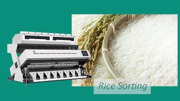 SG Rice Sorting Machine/Color Sorter