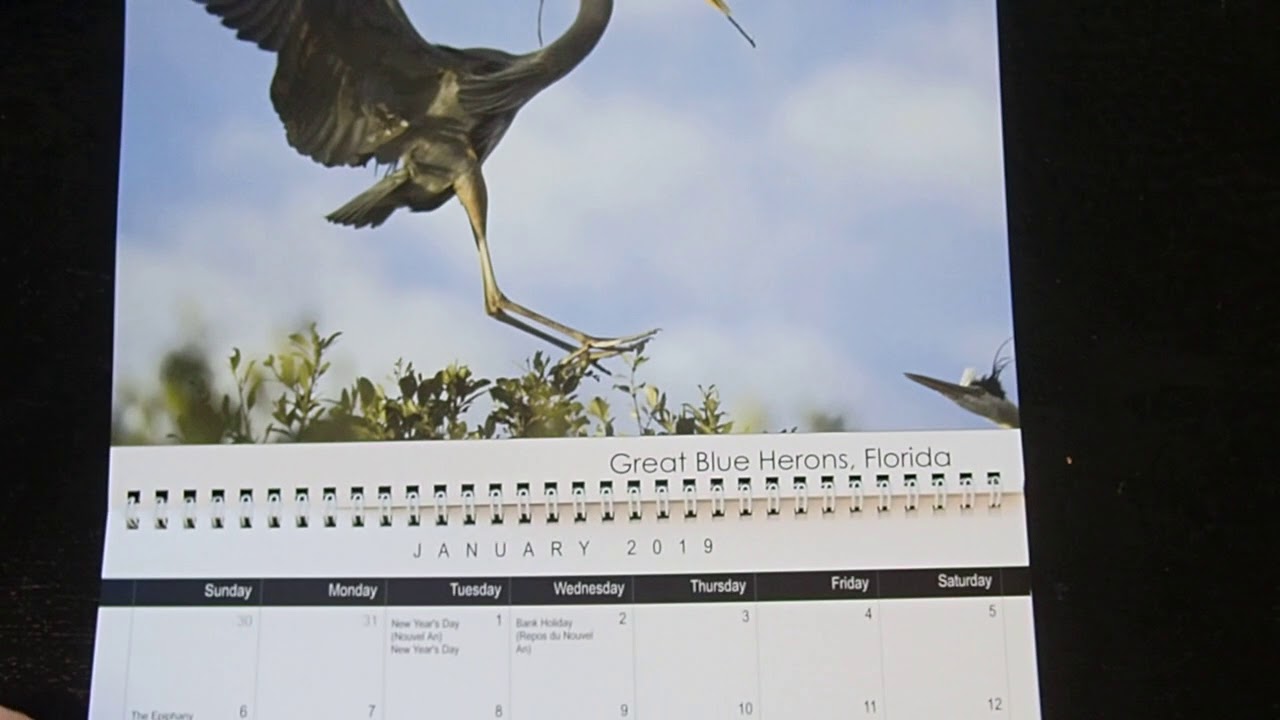 BIRDS 2019 Calendar Jimages.com