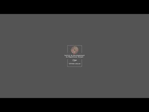 Diffusion en direct de Stéphane LANGLADE - Chaîne officielle