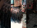 natural fro twist attachments #braids #braidmaids #hairstyle #hair
