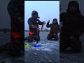 Поймали щуку на жерлицу. #рыбалка #fishing #shortvideo