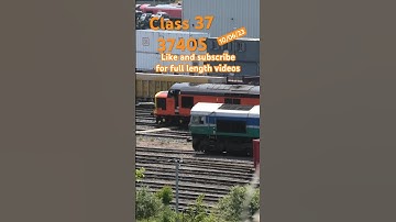 Class 37 37405 giving some power past Toton yard #class37 #train #trains #clag