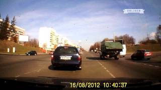 Минск из грузового автомобиля выпала корова Минск из грузового автомобиля выпала корова