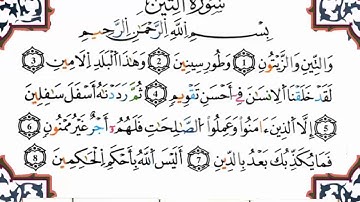 سورة التين برواية ورش القارئ ياسين الجزائري