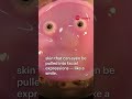 Japan scientists make smiling robot with 'living' skin