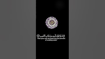 اجمل ايات قرانيه صوت جميل تلاوه خاشعه حالات واتس اب 🌿♥️ اسمعها