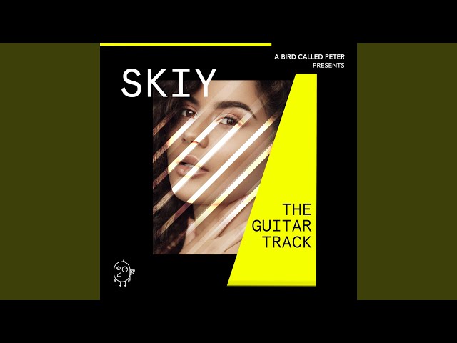SKIY - The Guitar Track