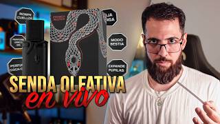 EN VIVO: Vulcan Black Friday Edición Limitada de French Avenue