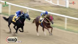 20161028 렛츠런파크 부산경남 1경주 1000m