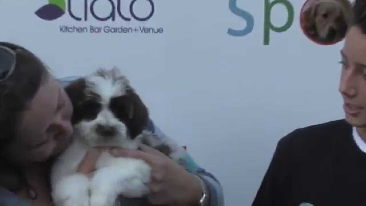 Camryn Manheim arriving to 3rd Annual Saving SPOT! Dog Rescue Benefit in Santa Monica