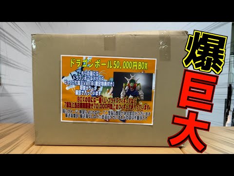 プライズフィギュア・雑貨 まとめ売り 福箱⑪ I saw a huge 50,000 yen figure lucky box for sale at a