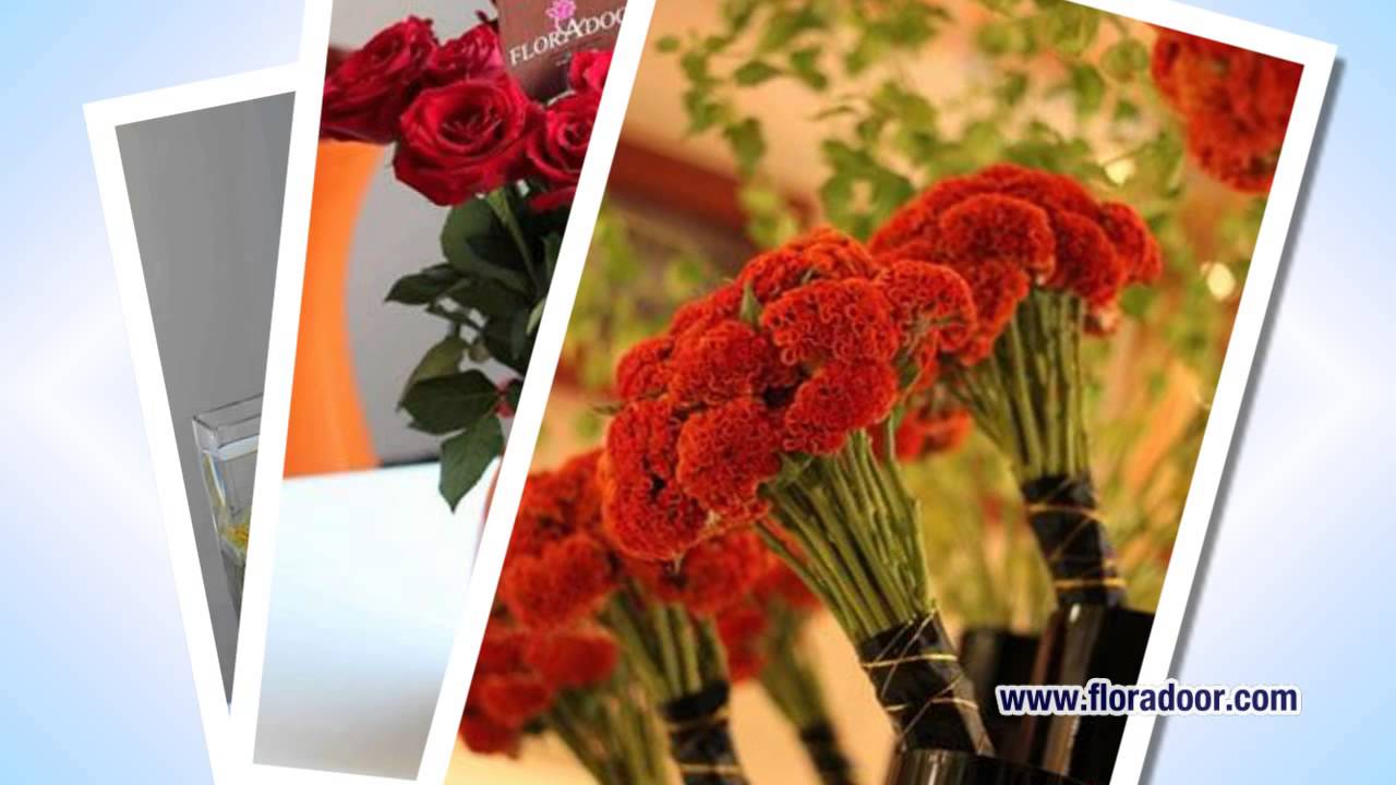 Send Flowers to Anywhere Across Egypt With Same Day Free Delivery
