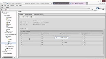 How to setup a Netapp SAN (Part 11 Connecting to ESXI)