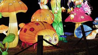 Фестиваль гигантских китайских фонариков 2020 год