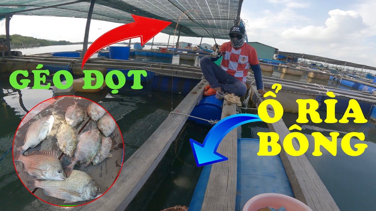 Câu cá ngày nước lớn đụng ổ cá -rìa bông- quá đã - YouTube