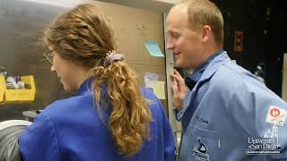 Usd College Of Arts And Sciences Faculty And Student Accomplishments