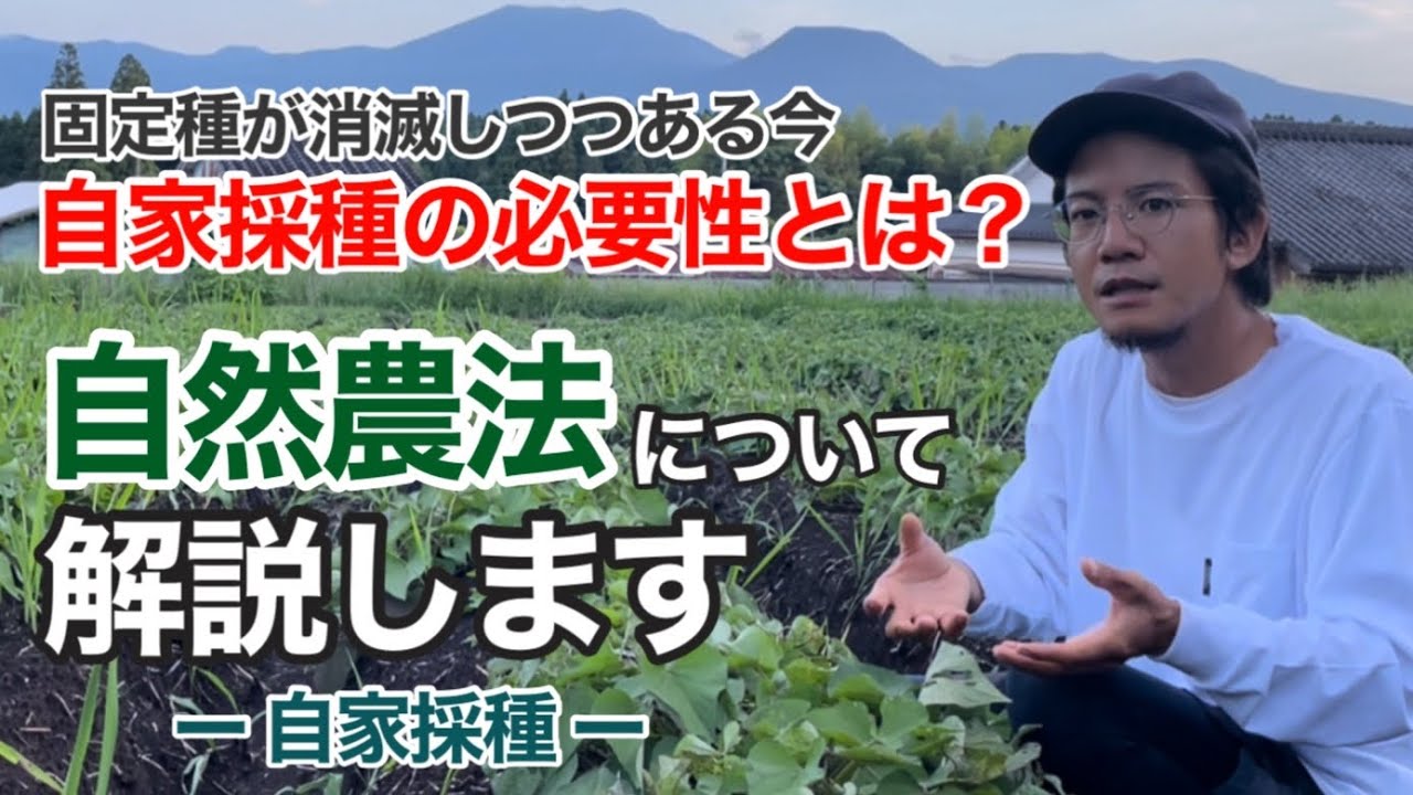 【農業】自然農法の特徴「自家採種」について解説します