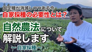 Natural farming 自然栽培米 自然療法 腸脳相関 シュタイナー教育 Natural Farming 394] The purifying effect of nature and your state