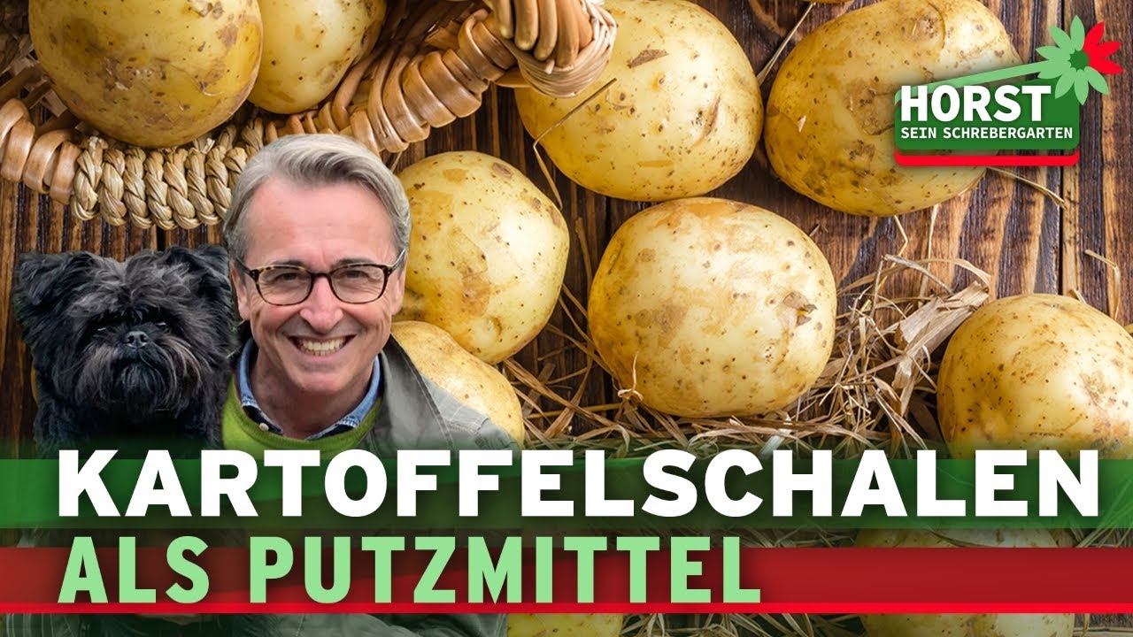 Lege Tontpfe in Kartoffelwasser und sieh was passiert | Horst sein  Schrebergarten