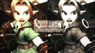 Adult Link Scenes Ocarina Of Time 3D