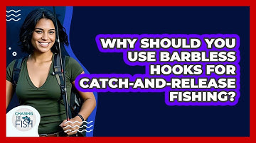 Why Should You Use Barbless Hooks For Catch-and-release Fishing? - Chasing Big Fish