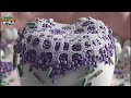 Microbe World: Inside Dental Plaque How Does a Bacterial City Actually Operate🚨🦠
