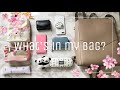 【カバンの中身紹介】軽くて大収納！使いやすい私のバッグの中身紹介