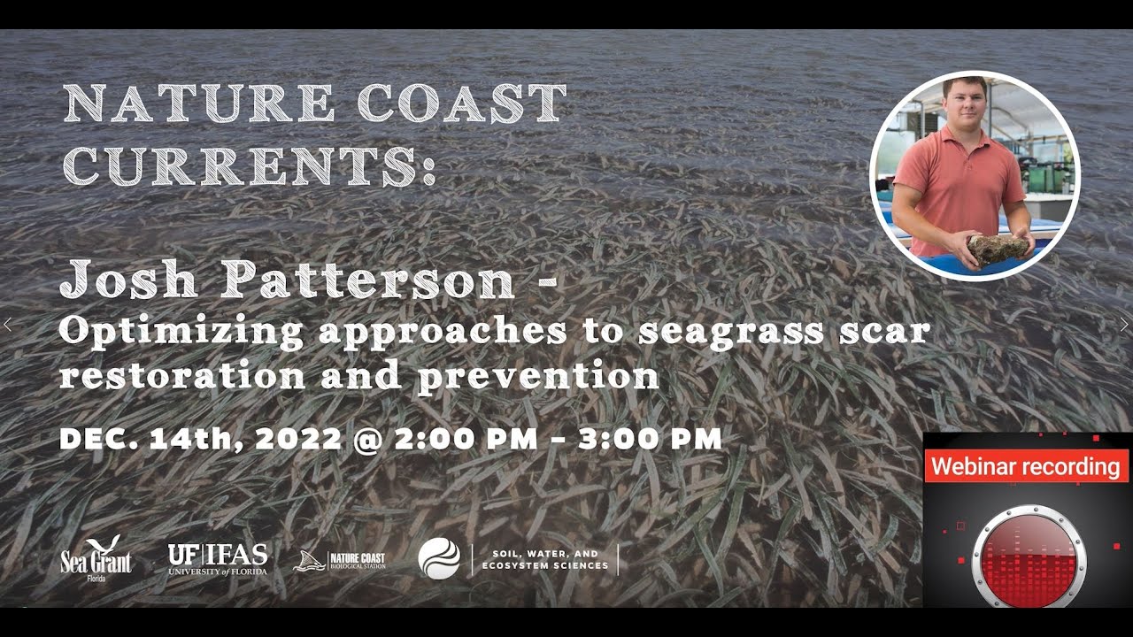 Optimizing approaches to seagrass scar restoration and prevention