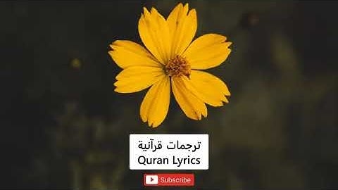 سورة السجدة بصوت اسلام صبحي تاخذك الى عالم اخر(كاملة)