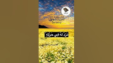 تلاوة خاشعة/ القآرئ ياسر الدوسري