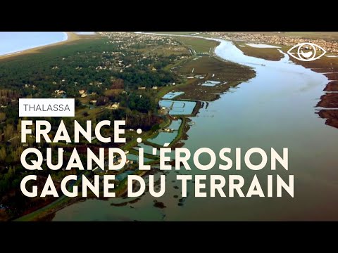 Erosion : littoral en alerte ! - Thalassa