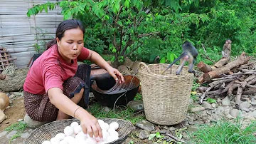 survival in the rainforest-women found goose egg in the forest for cook -Eating delicious HD